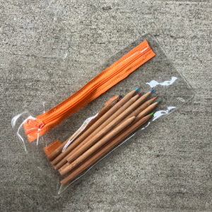 Color Pencils in Clear Case