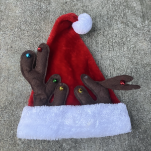 Santa Hat with Antlers