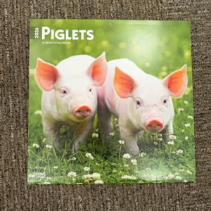 Piglets 2026 Calendar