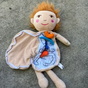 Zippable Plush with Organs for Hands-on Learning