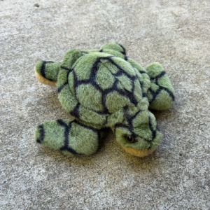 Green Sea Turtle Plush