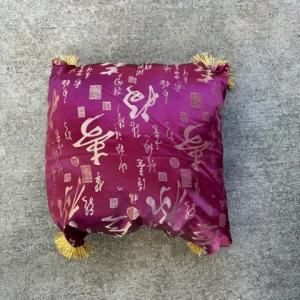 Tasseled Magenta Pillow