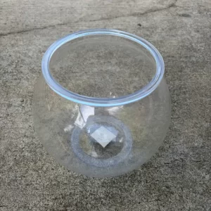 Glass Fish Bowl
